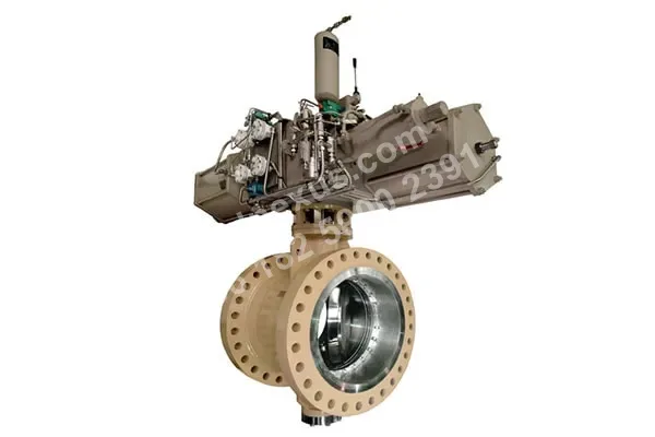 Neles BW Series butterfly valve